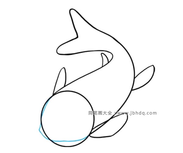 5.画鱼的脸的轮廓。