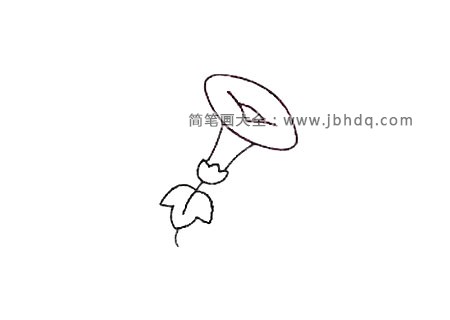第五步牵牛花的叶子有椭圆形也有掌形的，为了和牵牛花的造型有所区分，咱们画掌形的 。