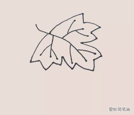 葡萄简笔画