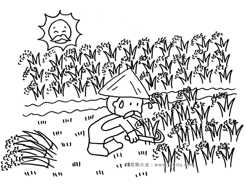 秋季丰收简笔画：割稻子