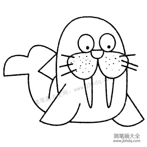 海象简笔画图片大全及画法步骤