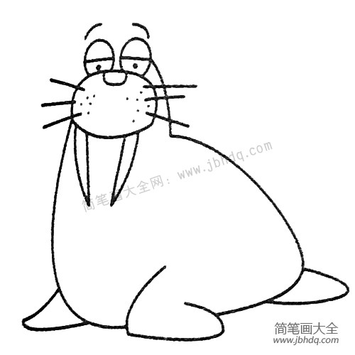 海象简笔画图片大全及画法步骤