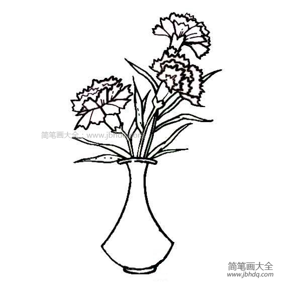 教师节礼物之康乃馨