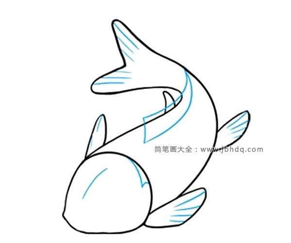 7.画鱼鳍的细节。