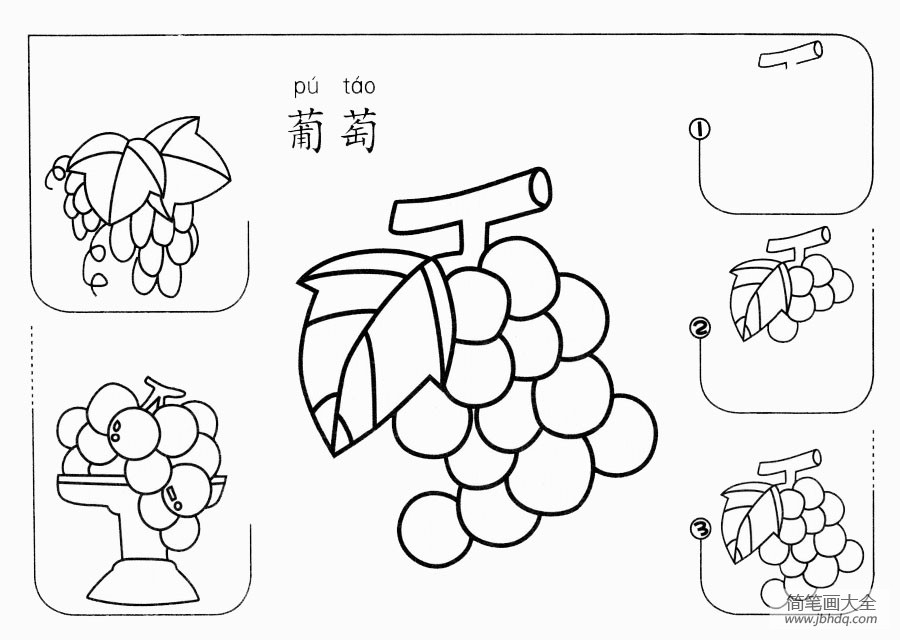 葡萄怎么画