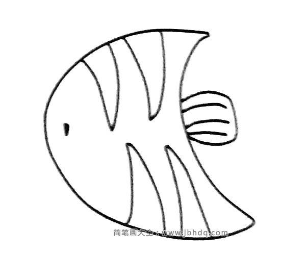 神仙鱼简笔画图片4