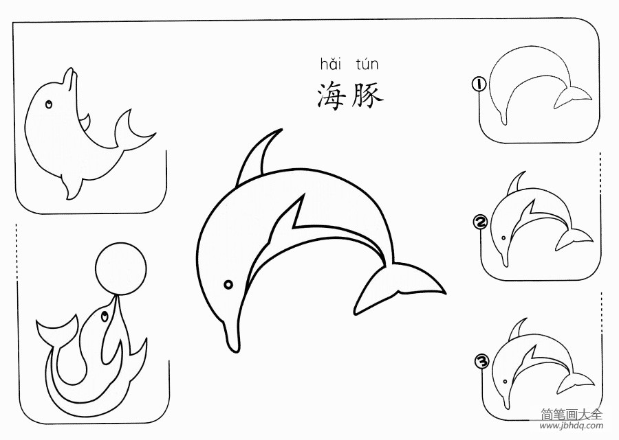 海豚怎么画