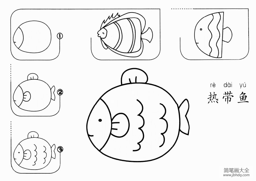 热带鱼怎么画