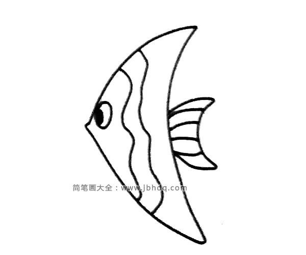 神仙鱼简笔画图片6