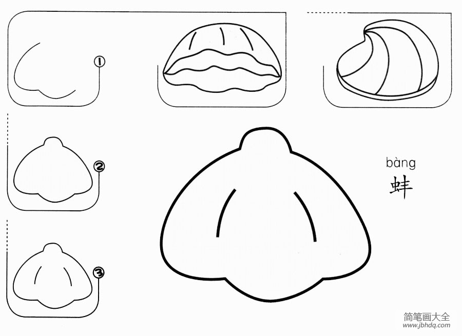 蚌怎么画