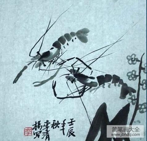 游动的小虾