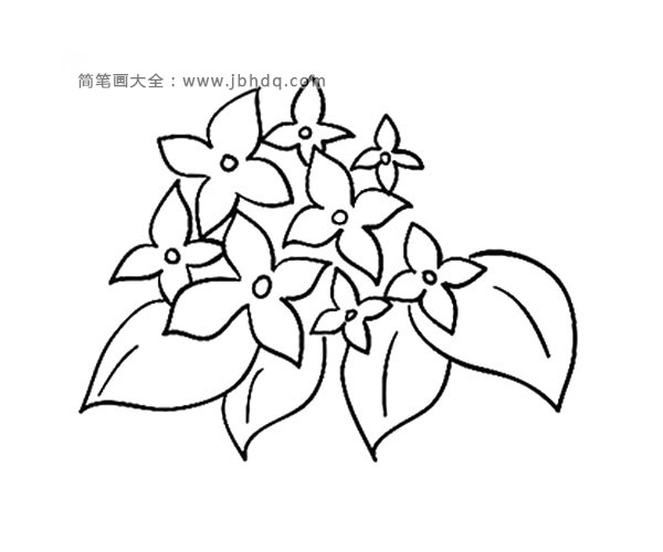一组简单漂亮的花朵简笔画图片