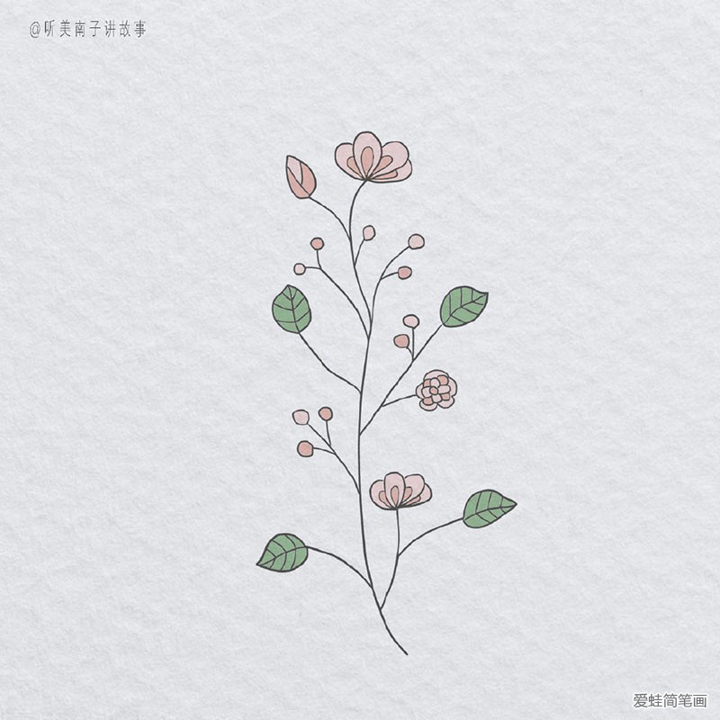 创意花朵简笔画图片