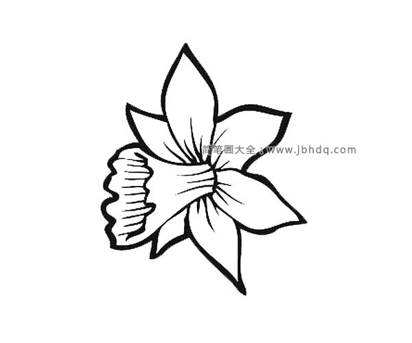 各种花瓣的简单画法