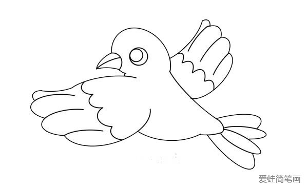 漂亮的鸽子简笔画
