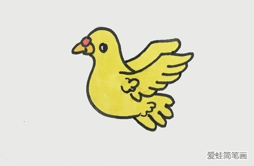 画简单鸽子