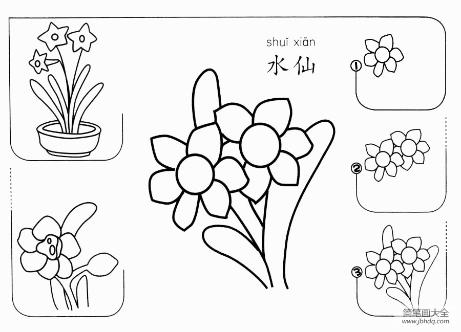 水仙怎么画