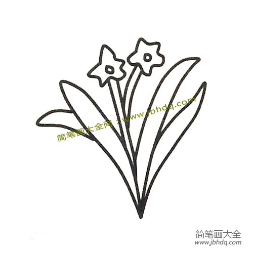 水仙花简笔画图片2