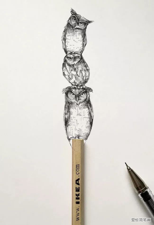 创意手绘动物插画欣赏6