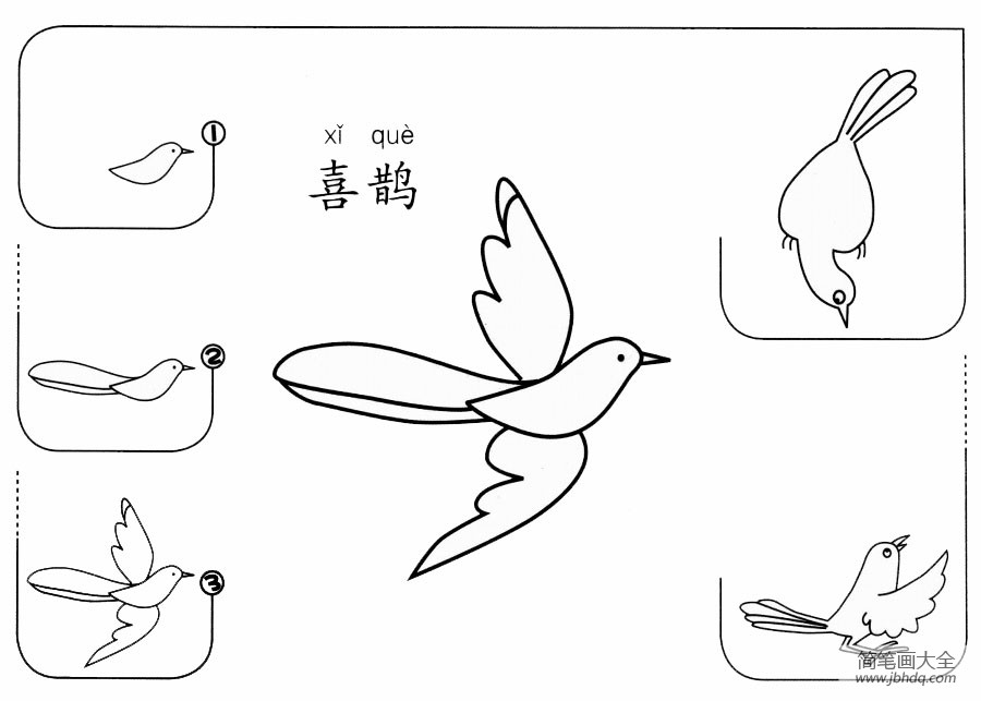 喜鹊怎么画