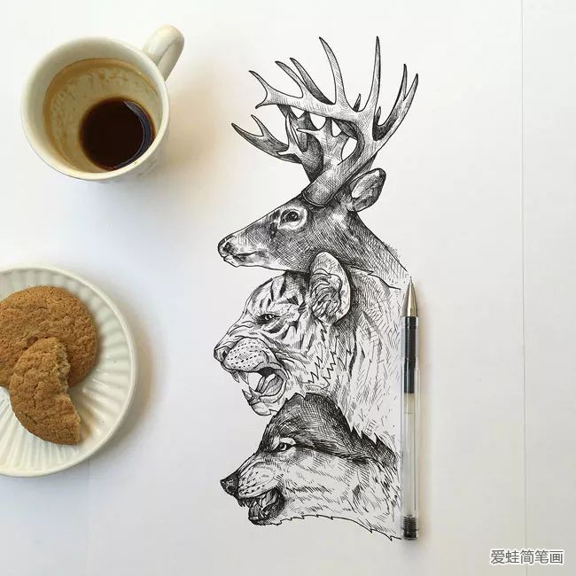 创意手绘动物插画欣赏13