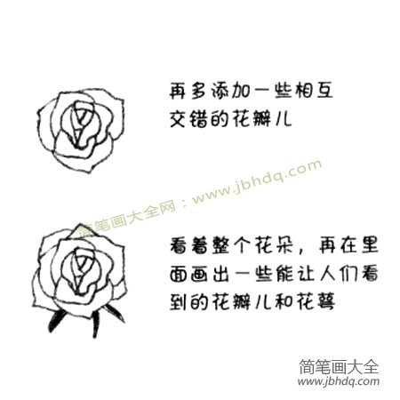 2.再多添加一些花瓣儿并画出花萼。