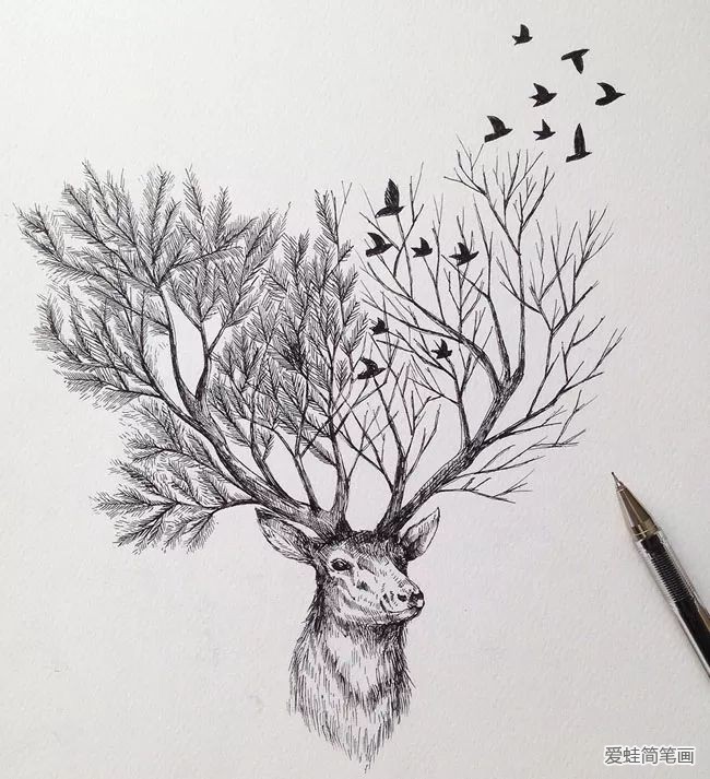 创意手绘动物插画欣赏14