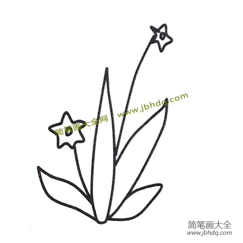 水仙花简笔画图片3