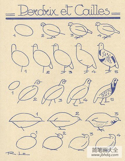 儿童简笔画卡通鸽子的画法图片步骤教程