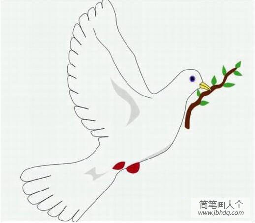 和平鸽子怎么画鸽子简笔画图片大全