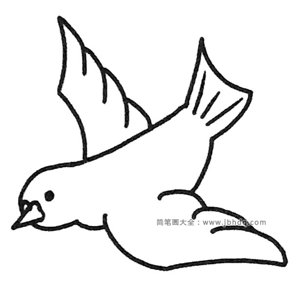 鸽子简笔画图片1