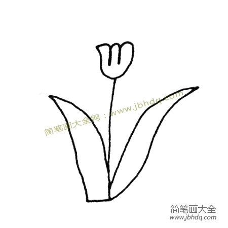 简单的植物简笔画 小花简笔画图片