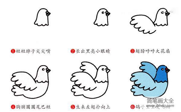 代表和平的鸽子