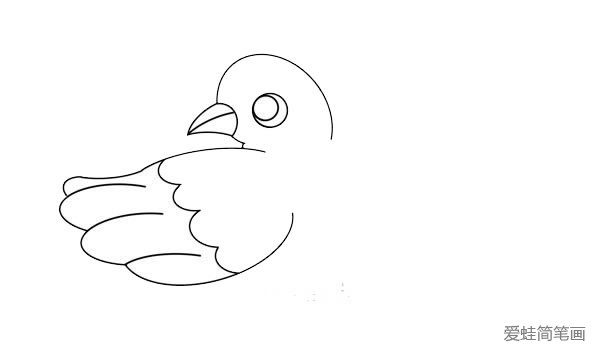 漂亮的鸽子简笔画