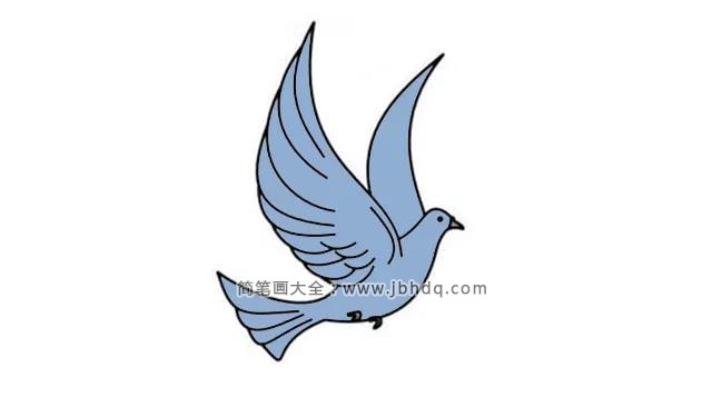 鸽子简笔画的画法