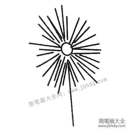 蒲公英简笔画大全及画法步骤