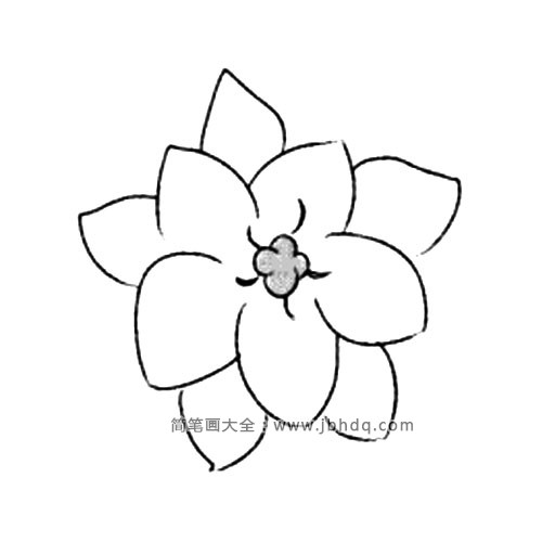 3.接着再向外画出一层花瓣。