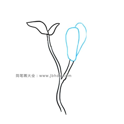 3.对另一茎，画出类似柱形的不规则形状。