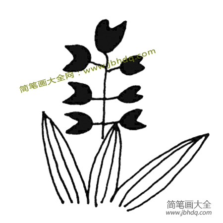 幼儿花朵简笔画图片大全