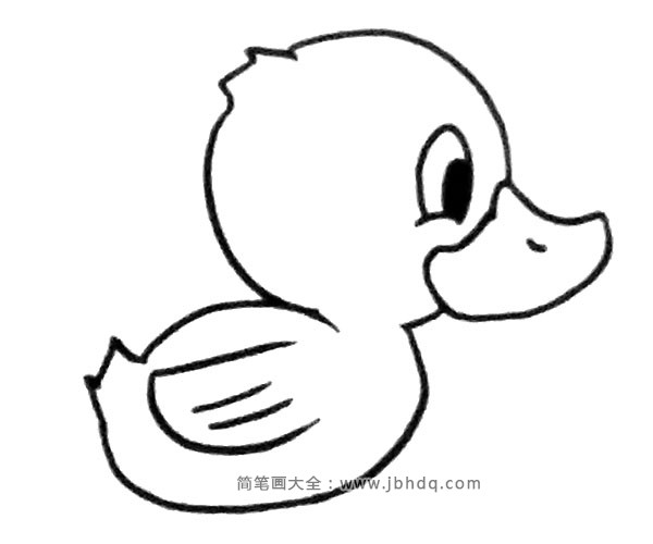 卡通小鸭子简笔画图片2
