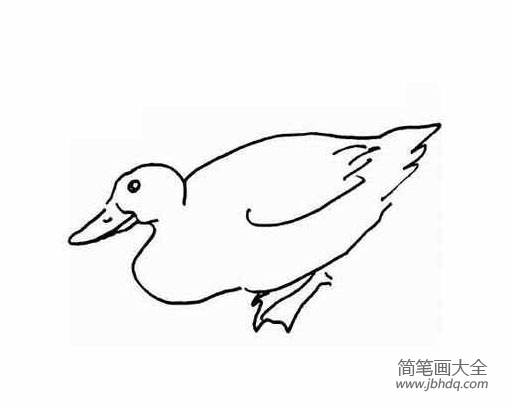 儿童动物简笔画鸭子