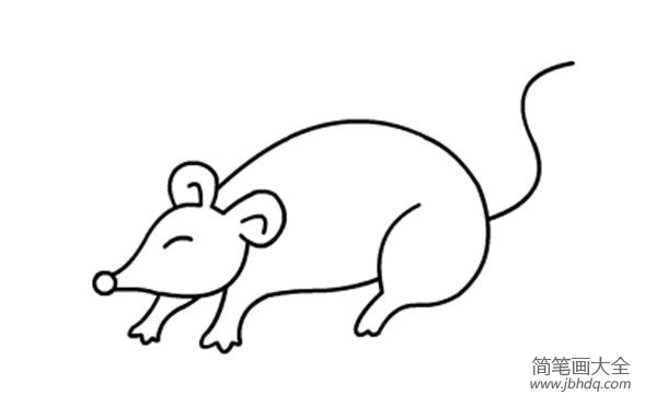儿童动物简笔画老鼠