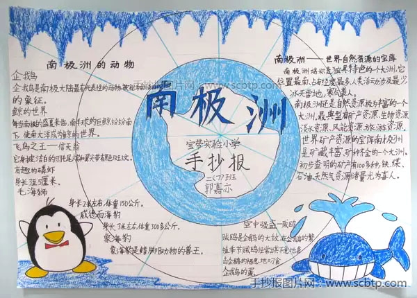 关于南极洲的地理手抄报图片