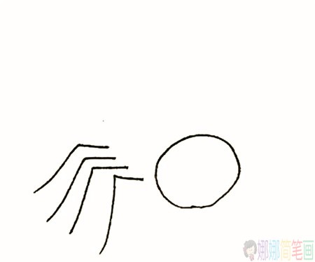 蜘蛛简笔画的画法