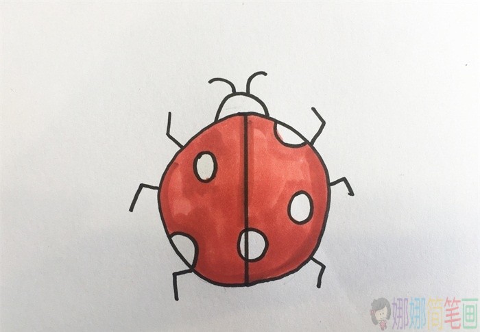 瓢虫简笔画,瓢虫儿童画画法