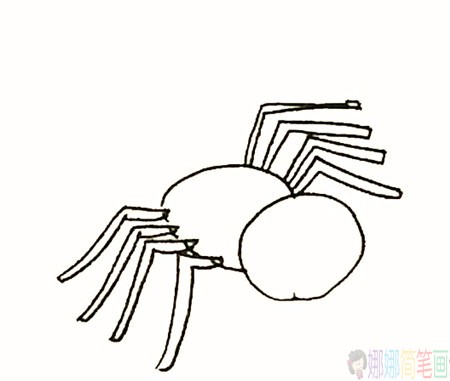蜘蛛简笔画的画法