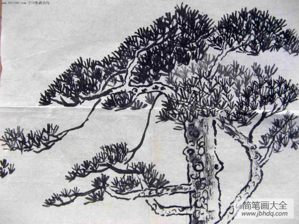 岁寒三友之松树