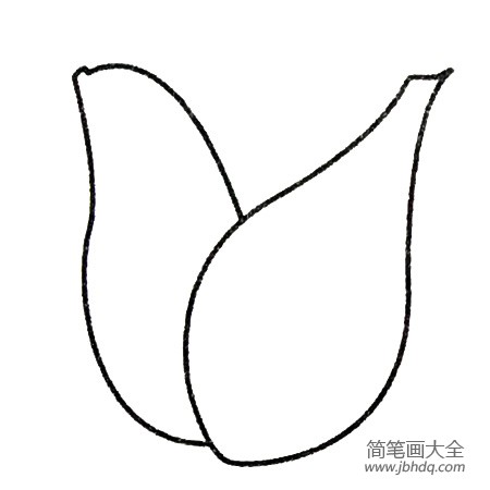 2.再画一片花瓣。