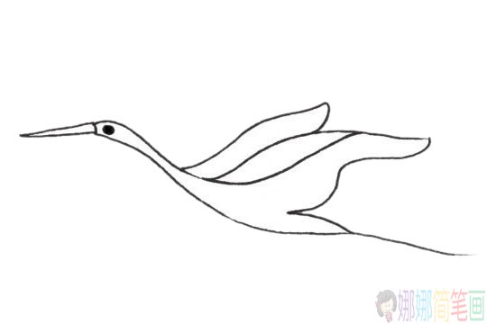 超简单的丹顶鹤简笔画的画法图片大全