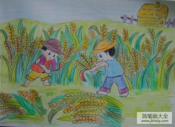 秋天小麦大丰收
